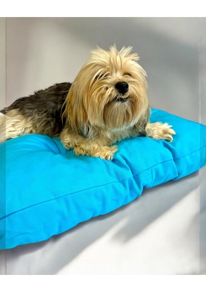 Luxury Pouchie Blue Kedi Köpek Minderi 60 x 55 cm 1 Adet