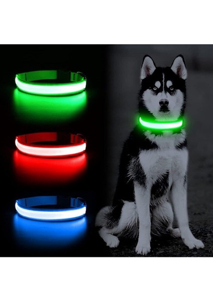 Luxury LED Işıklı Fonksiyonlu Boyun Tasması, Ayarlabilir LED Boyun Tasması - Yeşil 1 Adet