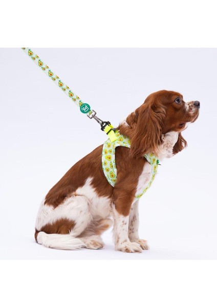 Luxury Avocado Leash Kedi Köpek Sevk & Gezdirme Kayışı Köpek Uzatma Tasması 1 Adet