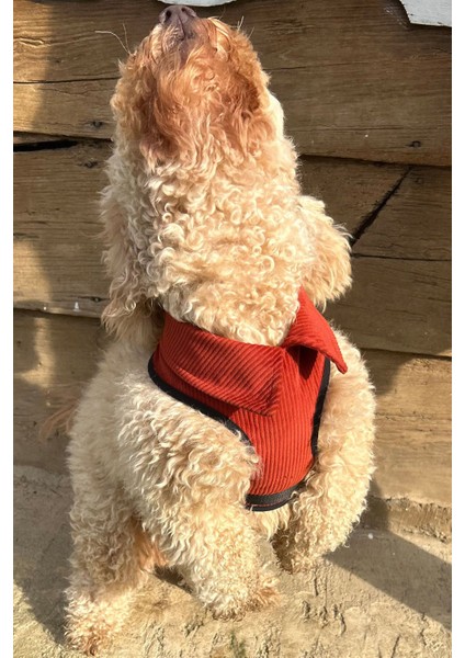 Luxury Kadife Gömlek Yakalı Köpek Göğüs Gövde Tasması 1 Adet indirimleri