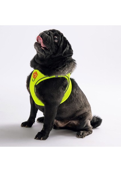 Luxury Neon Sarı Air-Mesh Göğüs Tasması Kedi Köpek Göğüs Tasması 1 Adet