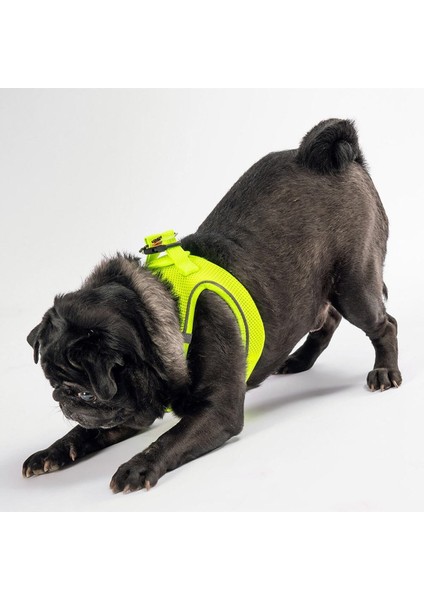 Luxury Neon Sarı Air-Mesh Göğüs Tasması Kedi Köpek Göğüs Tasması 1 Adet