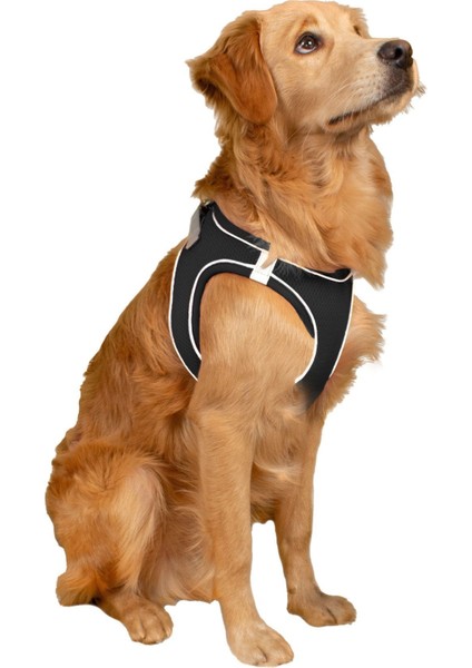 Luxury Mita Air Mesh Kedi Köpek Göğüs Tasması Çift Reflektörlü, Terletmeyen Haki / khaki 3xs 1 Adet