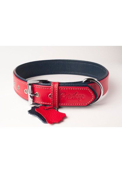 Luxury Flotter Hakiki Deri Köpek Boyun Tasması Xl Kırmızı Lacivert 4X54-64 cm 1 Adet