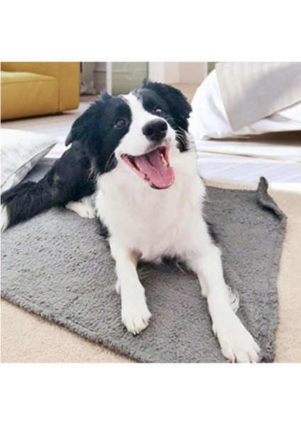 Luxury Peluş Köpek Battaniyesi 60X80 cm 1 Adet