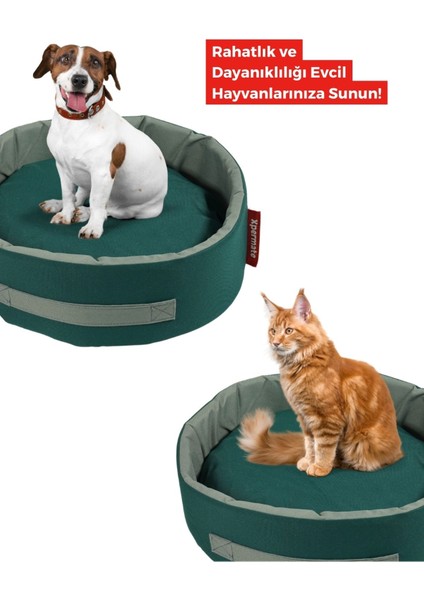 Luxury Köpek Yuvası Küçük Irk Köpek Yatağı ve Kedi Yatağı Büyük Yeşil Gri Sungersımıt 1 Adet