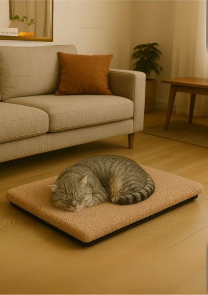 Luxury 50 x 70 cm Dolgulu Kedi Minderi - Matı Antialerjik Ithal Peluş Kumaş 1 Adet