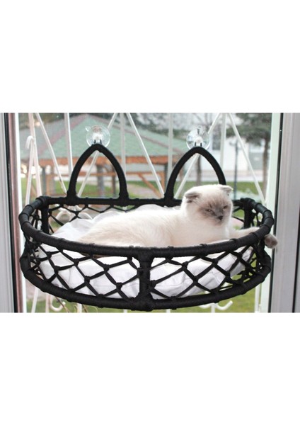 Luxury Cedric Kedi Cam Yatağı & Cam Askılı Vantuzlu Kedi Yatağı Siyah 1 Adet