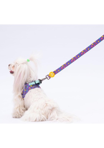 Luxury Ice Cream Leash Kedi Köpek Sevk & Gezdirme Kayışı Köpek Uzatma Tasması 1 Adet