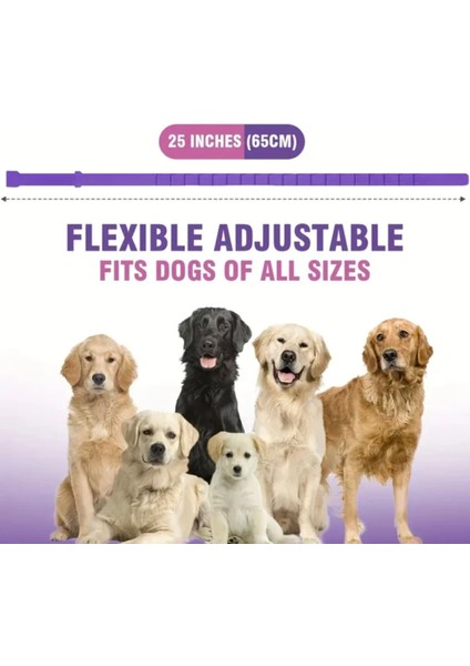 Collars Dog Sakinleştirici Köpek Boyun Tasması 4'lü Paket - Ayarlanabilir Ölçü fiyatları