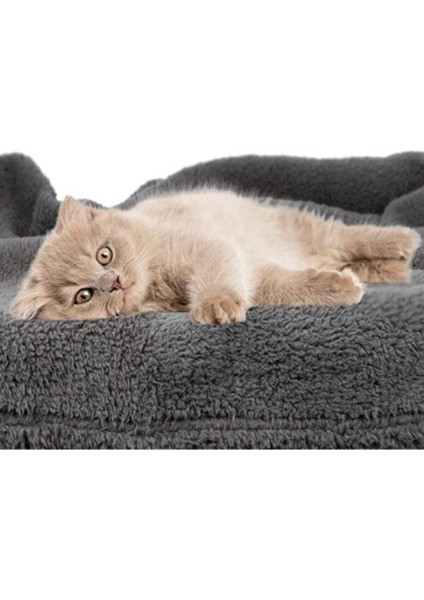 Luxury Peluş Kedi Battaniyesi 60X80 cm 1 Adet fiyatları