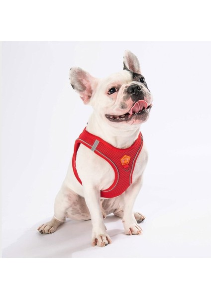 Luxury Kırmızı Air-Mesh Göğüs Tasması Kedi Köpek Göğüs Tasması 1 Adet