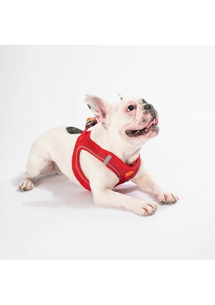 Luxury Kırmızı Air-Mesh Göğüs Tasması Kedi Köpek Göğüs Tasması 1 Adet
