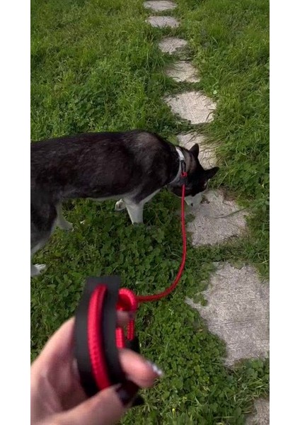 Luxury Stoperli Ayarlanabilir Boğma Köpek Antreman Itaat Boyun Tasması 1 Adet fiyatları