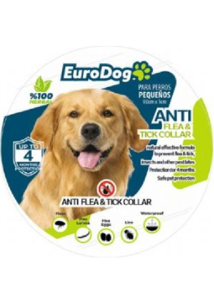 Luxury Euro Dog Köpek Parazit Pire Tasmasi 60CM 1 Adet