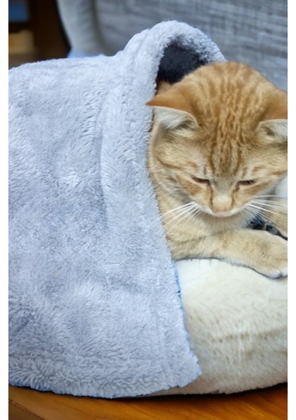 Luxury Paw Wellsoft Kedi Köpek Battaniyesi 100X100 cm Açik Gri 1 Adet fiyatları