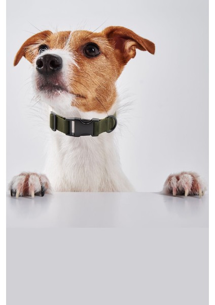 Luxury Köpek Tasması Köpek Boyun Tasması Küçük Orta Büyük Irk Köpek Boyun Tasması 1 Adet