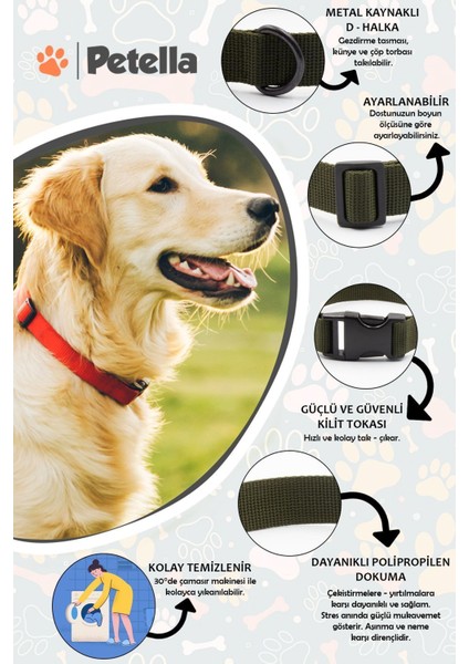 Luxury Köpek Tasması Köpek Boyun Tasması Küçük Orta Büyük Irk Köpek Boyun Tasması 1 Adet