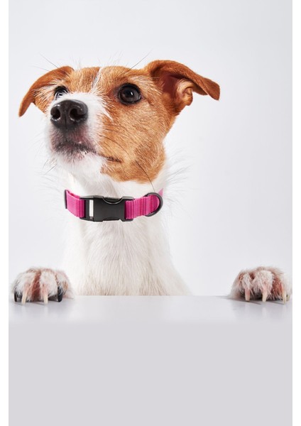 Luxury Köpek Tasması Köpek Boyun Tasması Küçük Orta Büyük Irk Köpek Boyun Tasması 1 Adet