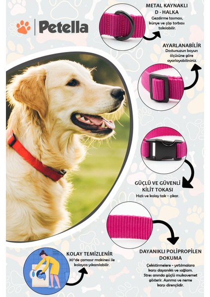 Luxury Köpek Tasması Köpek Boyun Tasması Küçük Orta Büyük Irk Köpek Boyun Tasması 1 Adet