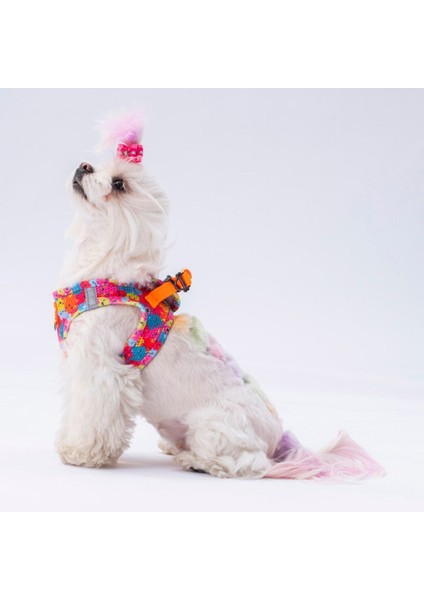 Luxury Monster Aırmesh Kedi Köpek Göğüs Tasması 1 Adet