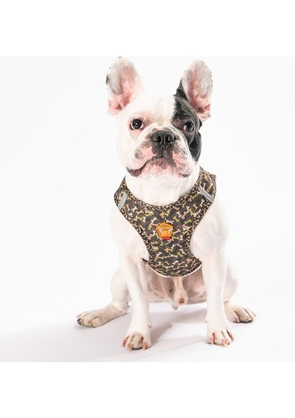 Luxury Brownossa Air-Mesh Göğüs Tasması Kedi Köpek Göğüs Tasması 1 Adet