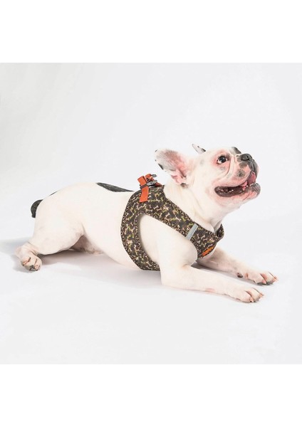 Luxury Brownossa Air-Mesh Göğüs Tasması Kedi Köpek Göğüs Tasması 1 Adet
