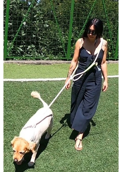 Luxury Siyah Beyaz Köpek Hands Free Koşu ve Yürüyüş Gezdirme Tasması 1 Adet indirimleri