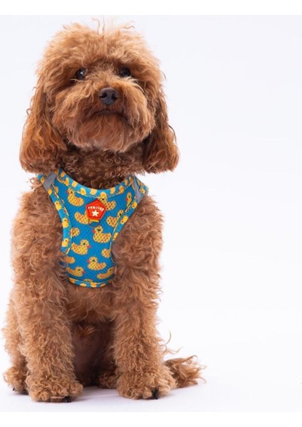 Luxury Ducks Air-Mesh Göğüs Tasması Kedi Köpek Göğüs Tasması 1 Adet