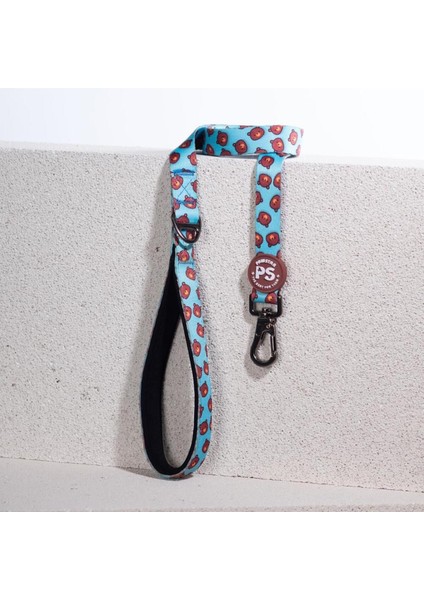 Luxury Bears Leash Kedi Köpek Sevk & Gezdirme Kayışı Köpek Uzatma Tasması 1 Adet