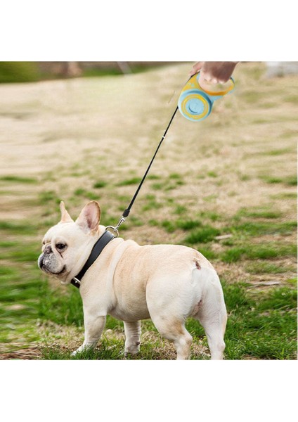 Luxury Makaralı Otomatik 5 Metre Geri Çekilebilen Kedi Köpek Gezdirme Tasması 1 Adet