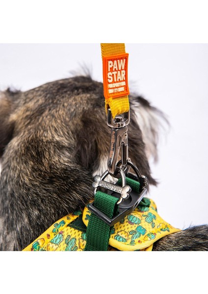 Luxury Cactus Air-Mesh Göğüs Tasması Kedi Köpek Göğüs Tasması 1 Adet