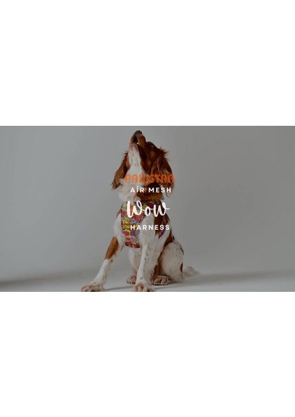 Luxury Wow Air-Mesh Göğüs Tasması Kedi Köpek Göğüs Tasması 1 Adet