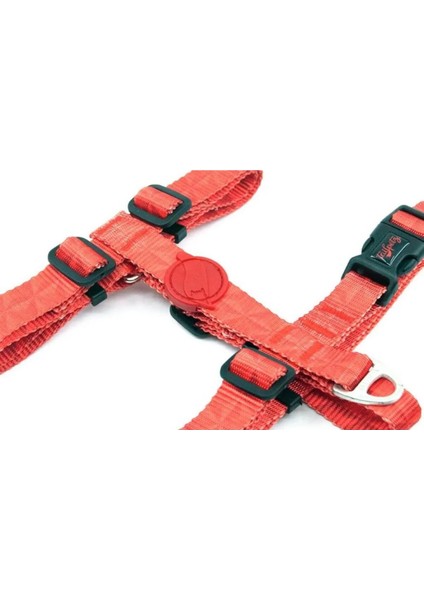 Luxury H-Type Harness Köpek Tasması - Prism 1 Adet