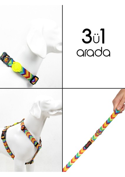Luxury Rainbow H-Tipi Göğüs Boyun Tasması ve Sevk Kayışı Seti 3ü1 Arada 1 Adet