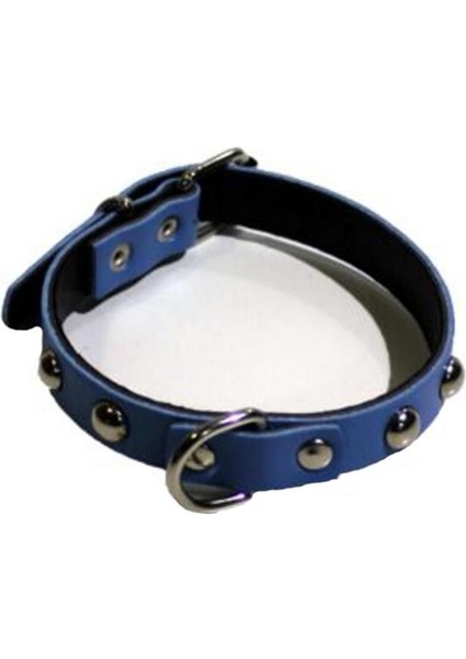 Luxury ® Yumuşak Dokulu Deri Köpek Gezdirme Boyun Tasması (Large) 1 Adet