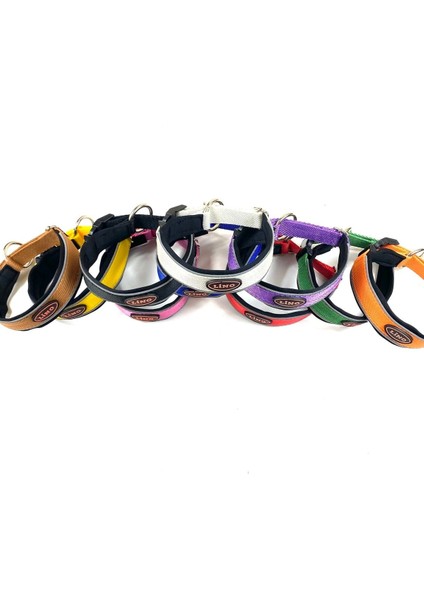 Luxury Ayarlı Boyun Spor Model Tasma 1 Adet