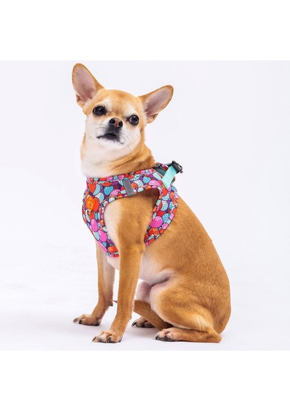 Luxury Balloons Air-Mesh Göğüs Tasması Kedi Köpek Göğüs Tasması 1 Adet
