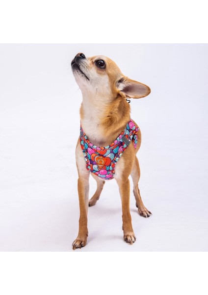 Luxury Balloons Air-Mesh Göğüs Tasması Kedi Köpek Göğüs Tasması 1 Adet