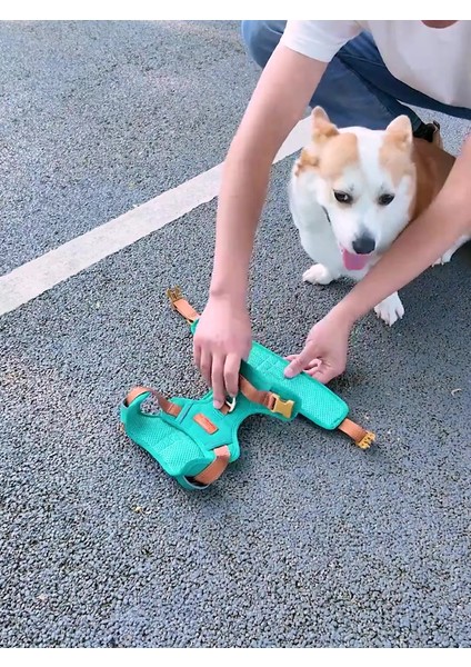 Luxury Köpek Tasması, Göğüs Tasması, Ayarlanabilir Tasma 1 Adet