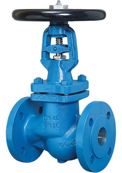 DN150 PN16 Pik Döküm Metal Körüklü Vana