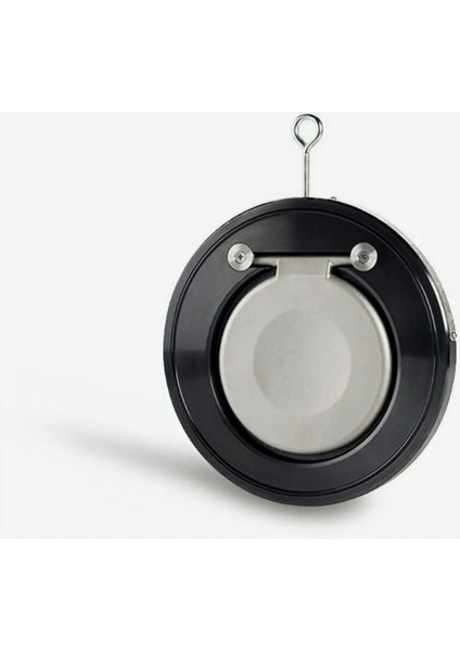 DN150 Wafer Demir Döküm Gövde Paslanmaz Klapeli Çalpara Çekvalf