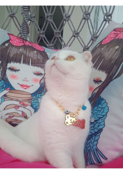 Luxury 72 cm Paslanmaz Zincirli Aksesuarlı Kedi Köpek Isimliği 1 Adet