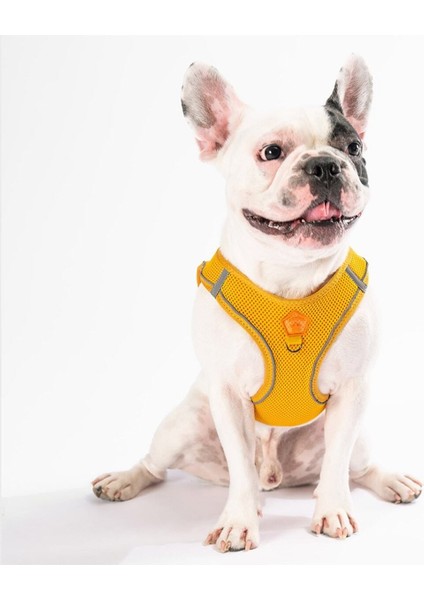Luxury Gold Air-Mesh Göğüs Tasması Kedi Köpek Göğüs Tasması 1 Adet