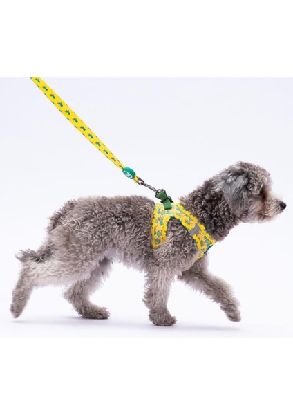 Luxury Cactus Leash & Air-Mesh Kedi Köpek Tasma ve Gezdirme Kayışı Seti Tasma Seti 1 Adet
