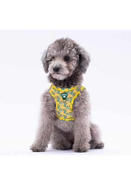 Luxury Cactus Leash & Air-Mesh Kedi Köpek Tasma ve Gezdirme Kayışı Seti Tasma Seti 1 Adet
