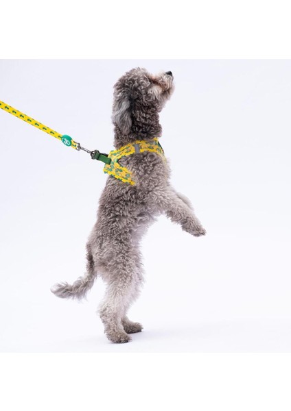Luxury Cactus Leash & Air-Mesh Kedi Köpek Tasma ve Gezdirme Kayışı Seti Tasma Seti 1 Adet