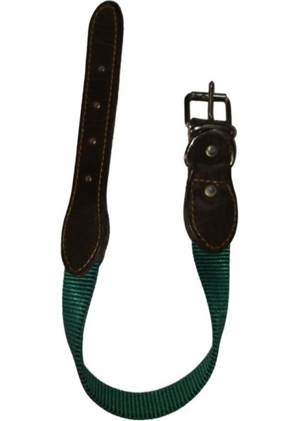 Luxury Köpek Boyun Tasma 2,5CM-56CM Yeşil 1 Adet