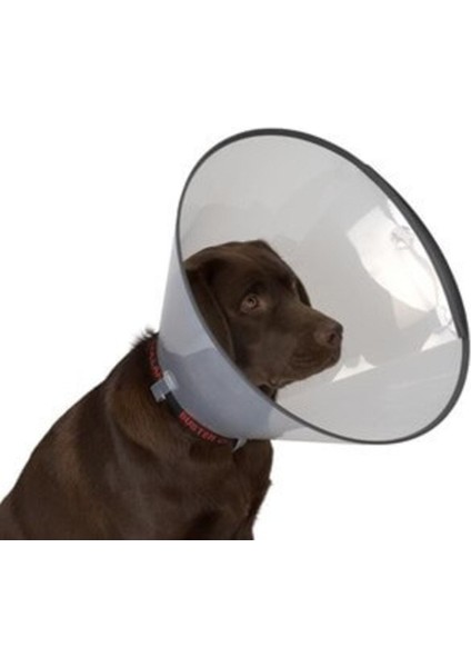 Luxury Yeni Köpek Yakalığı 20 cm Kampanya!!! 1 Adet
