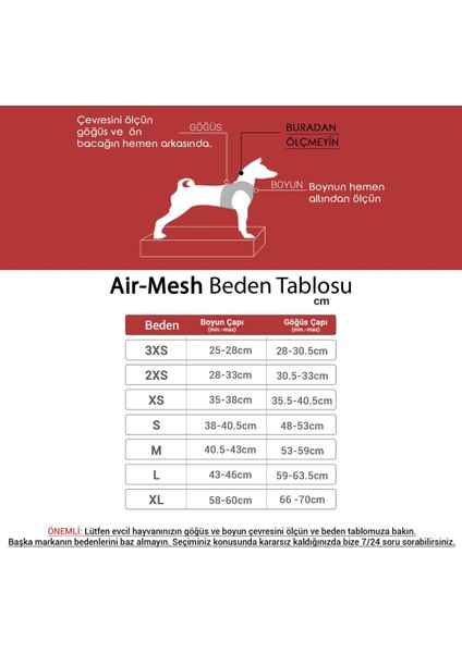 Luxury Kedi Köpek Air-Mesh Göğüs Tasması ve Gezdirme Sevk Kayışı Seti 2si1 Arada Sarı 1 Adet